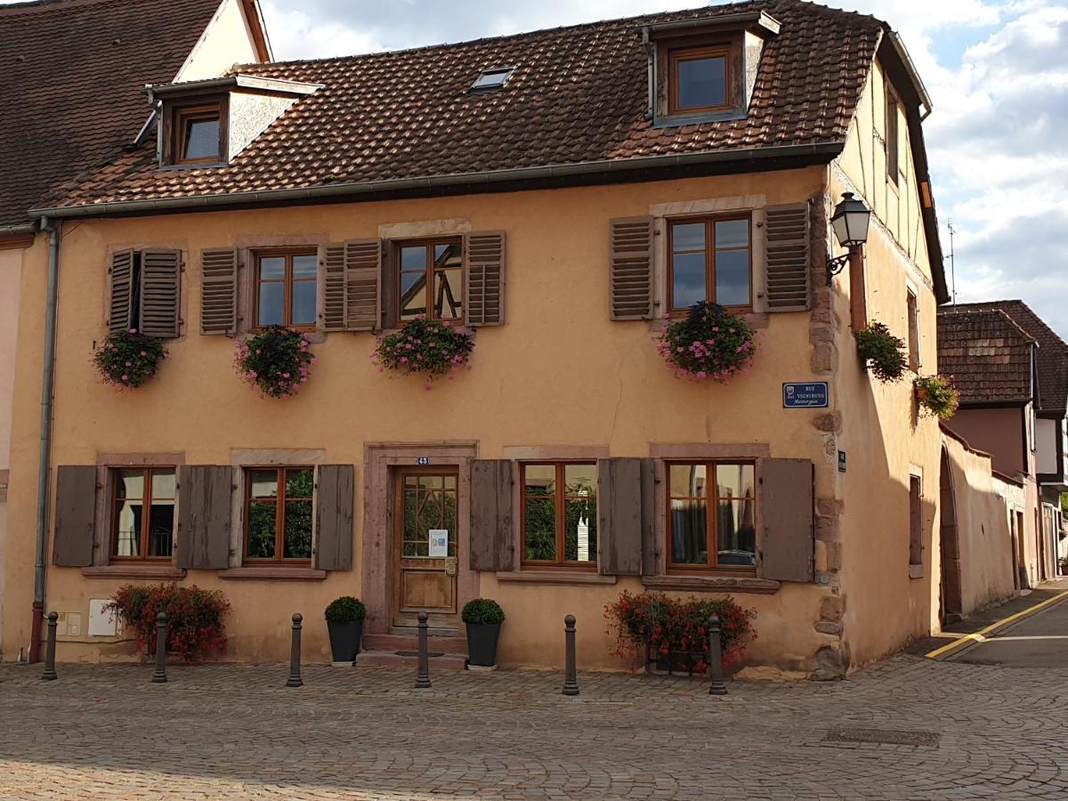 Chez Laurette A Bergheim 아파트 외부 사진