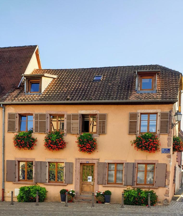 Chez Laurette A Bergheim 아파트 외부 사진